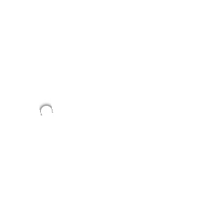 Circular Lock Screen widget: cycle day 20