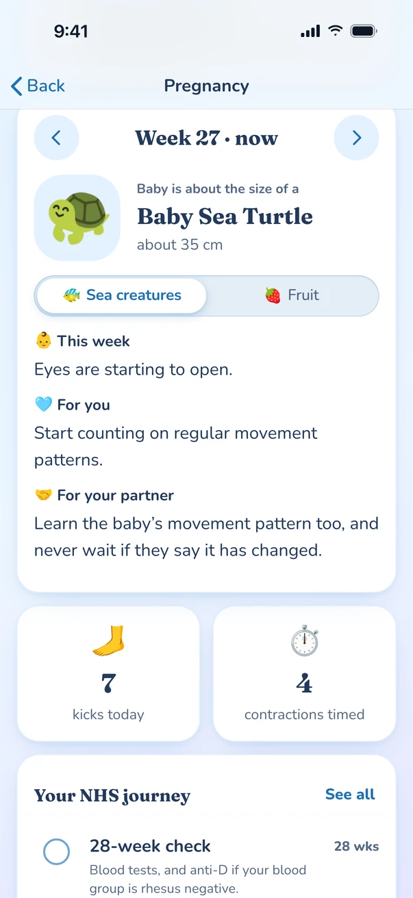 Week 27: baby is about the size of a baby sea turtle, about 35 cm, with notes for this week, for you and for your partner