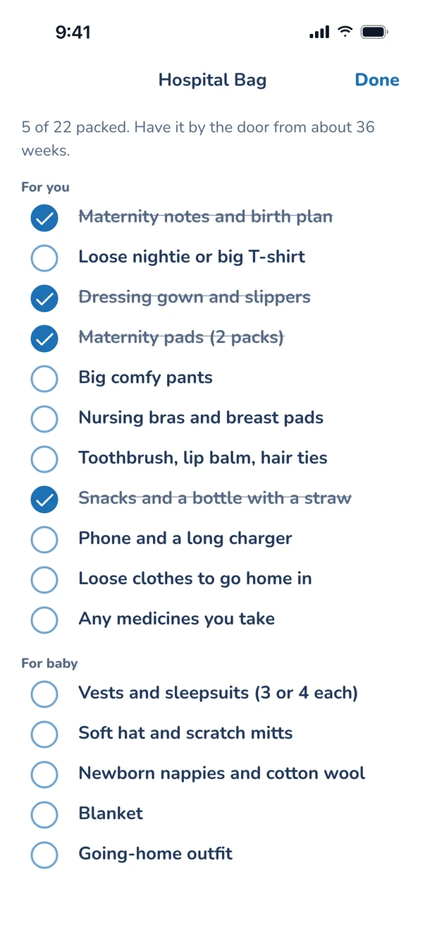 Hospital bag: 3 of 22 packed, with lists for you and for baby