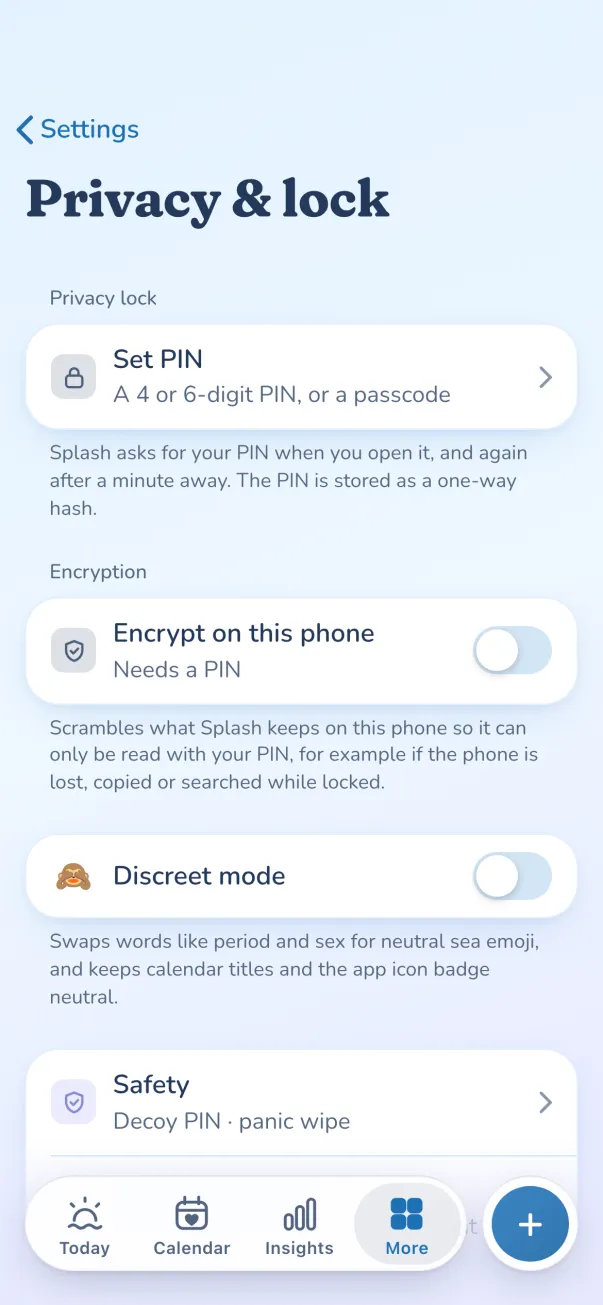 Privacy and lock settings: set a PIN, encrypt on this phone and discreet mode
